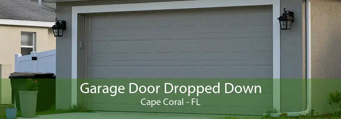 Garage Door Dropped Down Cape Coral - FL