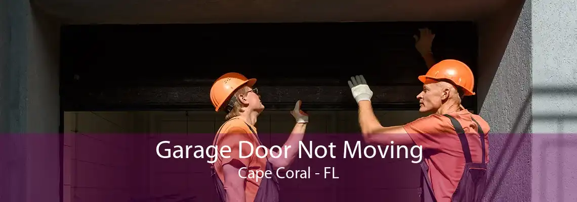 Garage Door Not Moving Cape Coral - FL